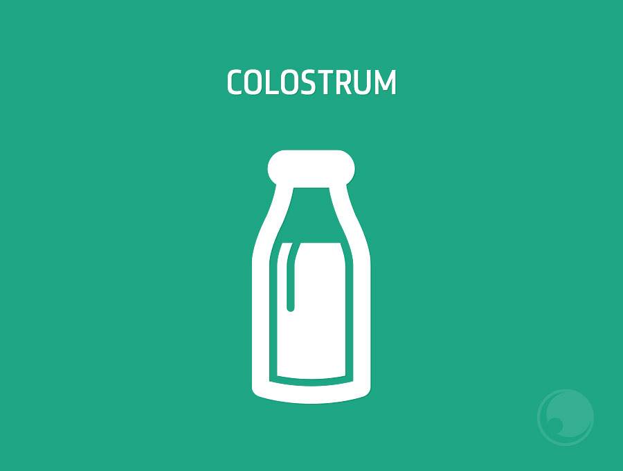 Artikelsuche - Colostrum